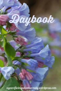 daybook tag
